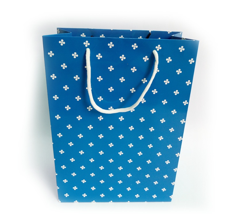 印花礼品手提袋 服饰购物纸袋 创意礼品袋